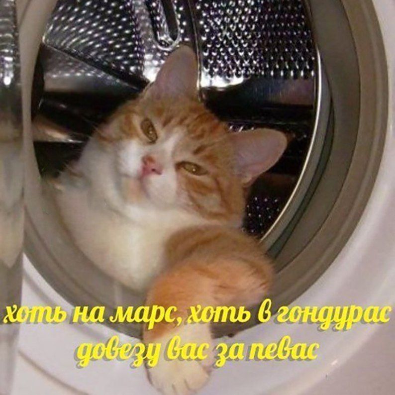 хоть на марс, хоть 6 гондурас довезу вас за певас