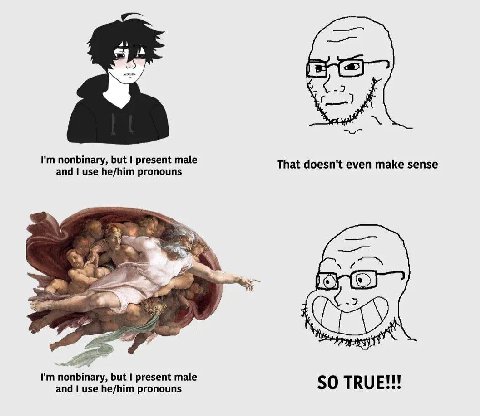 nonbinary, but present male That doesn't even make sense and use he/him pronouns nonbinary, but present male and use he/him pronouns so TRUE!!!