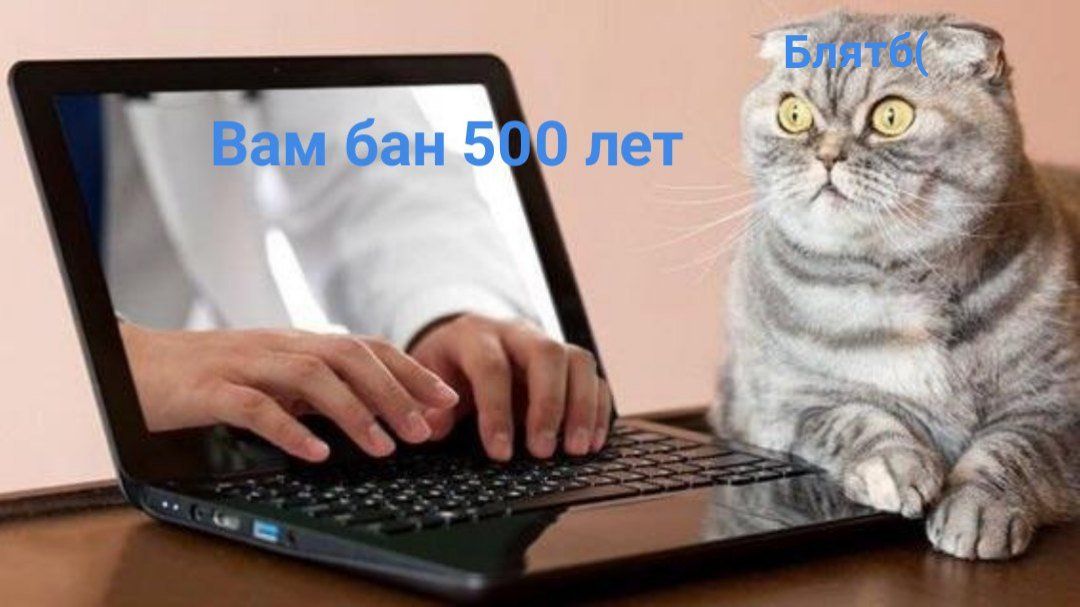 Б 4 Wart I 1 я a 2% Nee у а