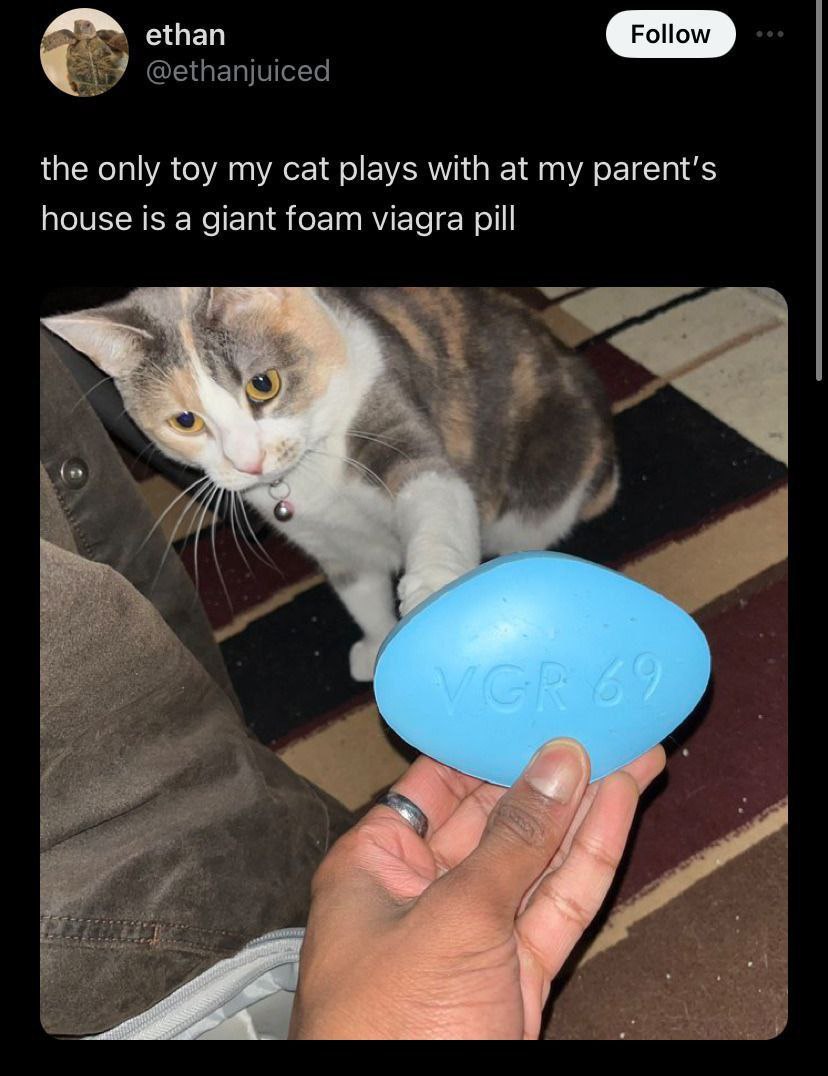 ethan @ethanjuiced the only toy my cat plays with at my house 1$ a giant foam viagra pill я