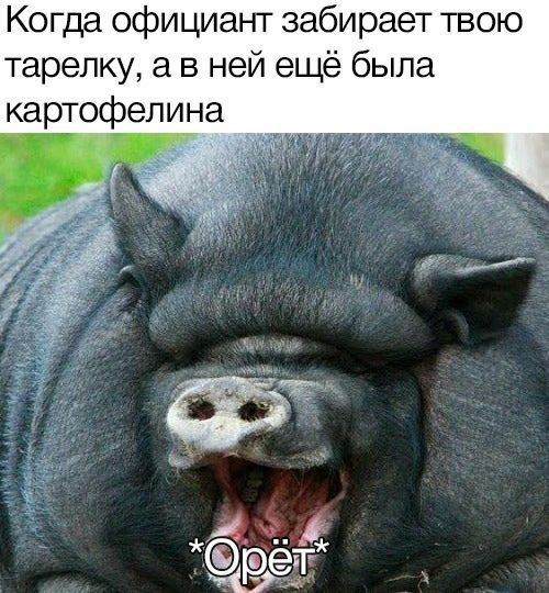 Когда официант забирает твою тарелку, а в ней ещё была картофелина