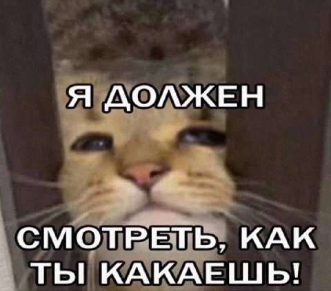 Я ДОЛЖЕН СМОТРЕТЬ, КАК ТЫ КАКАЕШЬ!