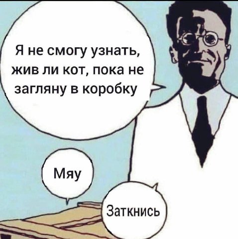 Я не смогу узнать, жив ли кот, пока не загляну в коробку Заткнись