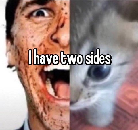 |have two sides