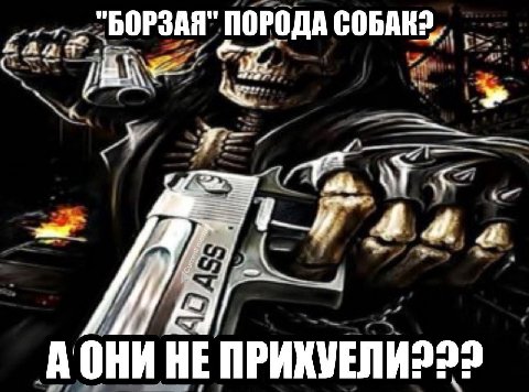 🗣 анон
