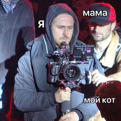 мама мой KOT