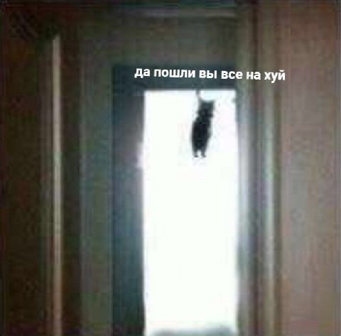 да пошли вы все на хуй