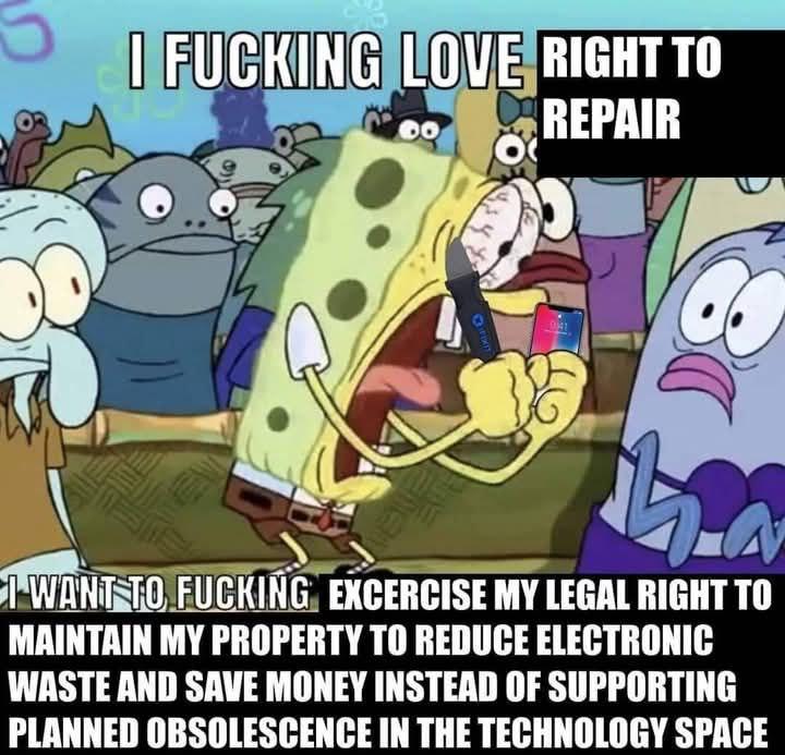FUCKING LOVE то NON FUCKING EXCERCISE MY LEGAL RIGHT ТО MAINTAIN MY PROPERTY TO REDUCE ELECTRONIC WASTE AND SAVE MONEY INSTEAD OF SUPPORTING PLANNED OBSOLESCENCE IN THE TECHNOLOGY SPACE