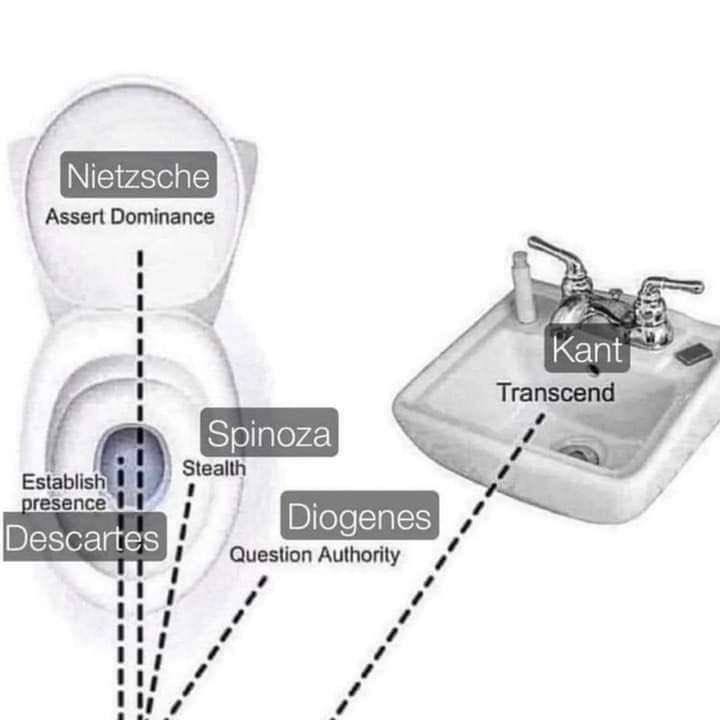 Аззей Ооттапсе Kant Transcend Spinoza Establish Stealth 8 Descartes Question Authority ily, ily