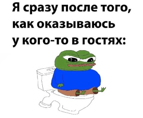 Я сразу после того, как оказываюсь у кого-то в гостях: