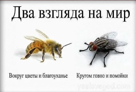 Два взгляда на мир Вокруг цветы и благоуханье Кругом говно и помойки