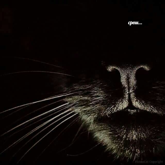 среш... “4