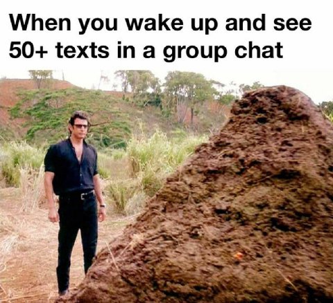 When you wake up and see 50+ texts in a group chat 4 у У А