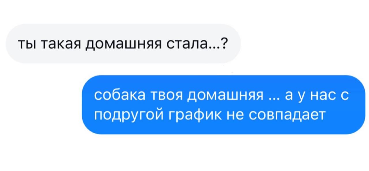 ты такая домашняя стала...? собака твоя домашняя нас с подругой график не совпадает