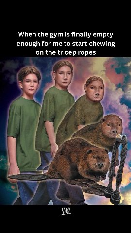 When the gym is finally empty enough for me to start chewing on the tricep ropes