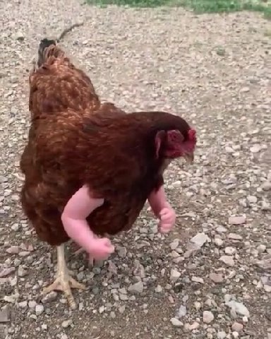 Кто бля яйца ворует