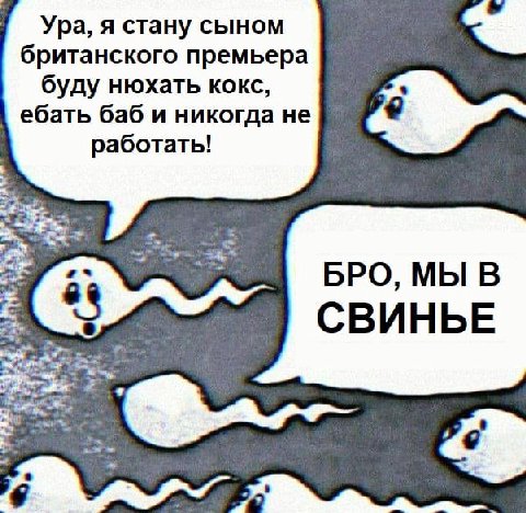 Ура, я стану сыном британского премьера буду нюхать кокс, ебать баб и никогда не работать! BPO, МЫ В СВИНЬЕ