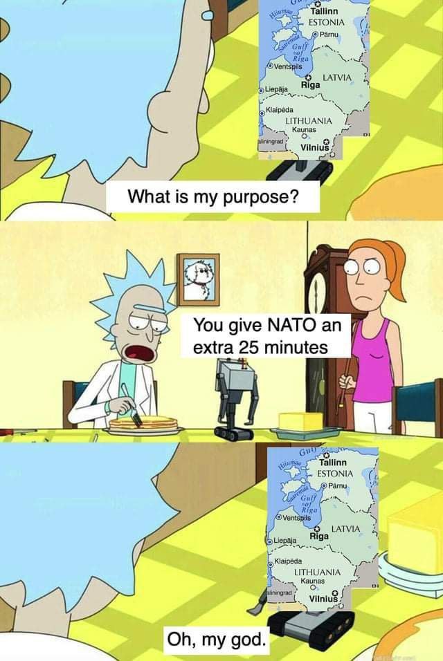 AS Tallinn ТОМА (1 7 Pamu Ven LATVIA 4 A Kaunas What is my purpose? You give NATO an extra 25 minutes ESTONIA Tallinn Riga LITHUANIA Vilnius god.