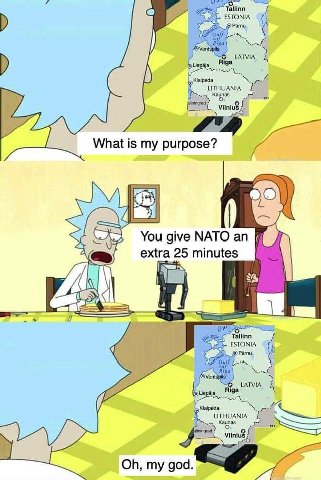 AS Tallinn ТОМА (1 7 Pamu Ven LATVIA 4 A Kaunas What is my purpose? You give NATO an extra 25 minutes ESTONIA Tallinn Riga LITHUANIA Vilnius god.