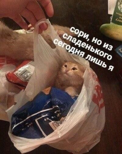Ого Ли at