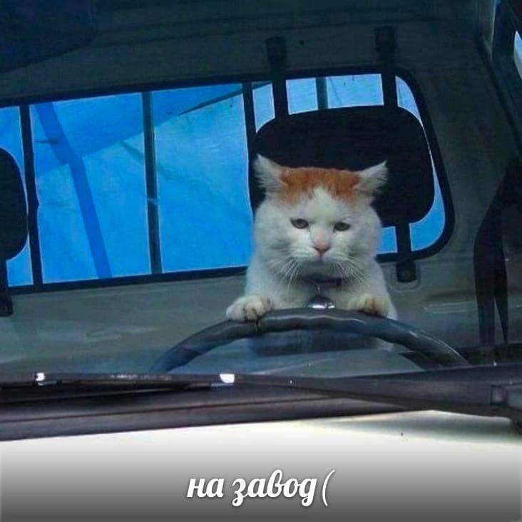 на