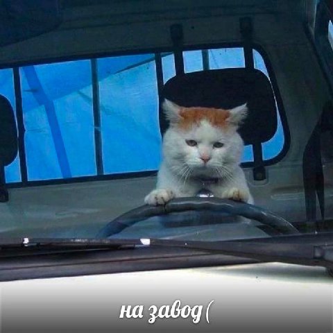 на
