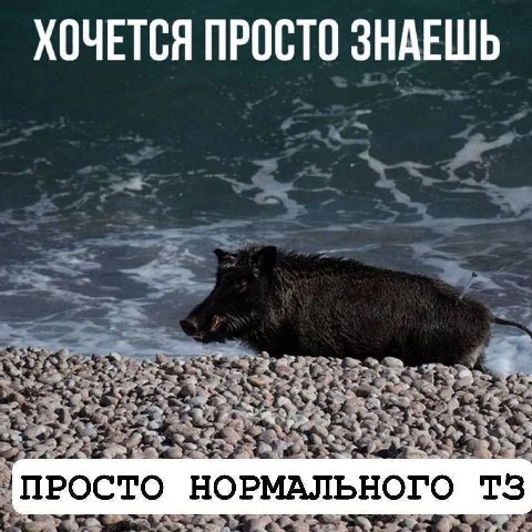 ХОЧЕТСЯ ПРОСТО ЗНАЕШЬ [ПРОСТО НОРМАЛЬНОГО