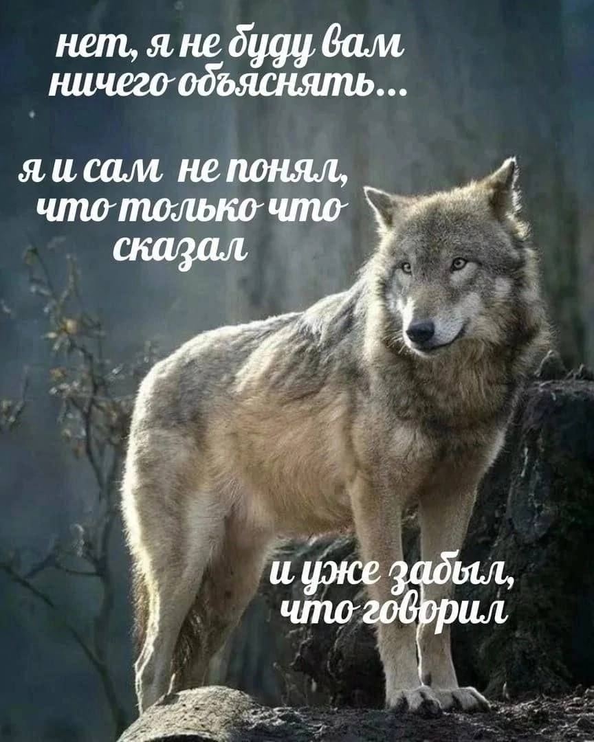 не оцду Gam ничего объяснять... яисам не no