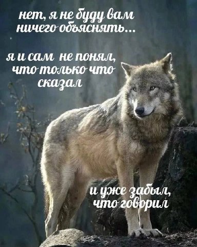 не оцду Gam ничего объяснять... яисам не no