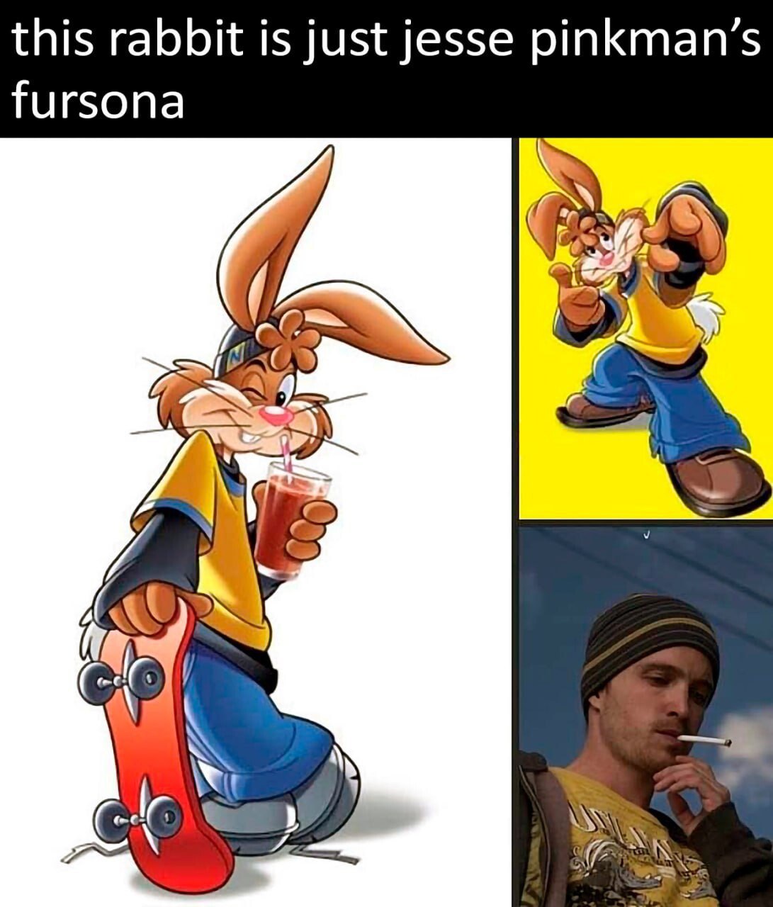 this rabbit is just jesse pinkman’s fursona А