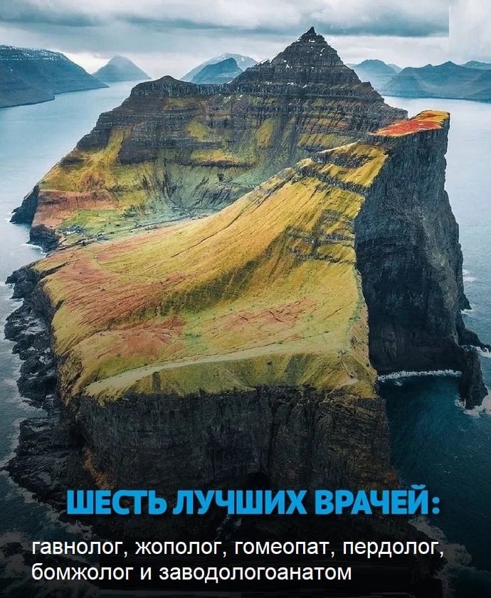 А 2.4 ШЕСТЬ ЛУЧШИХ ВРАЧЕЙ: гавнолог, жополог, гомеопат, пердолог, бомжолог и заводологоанатом