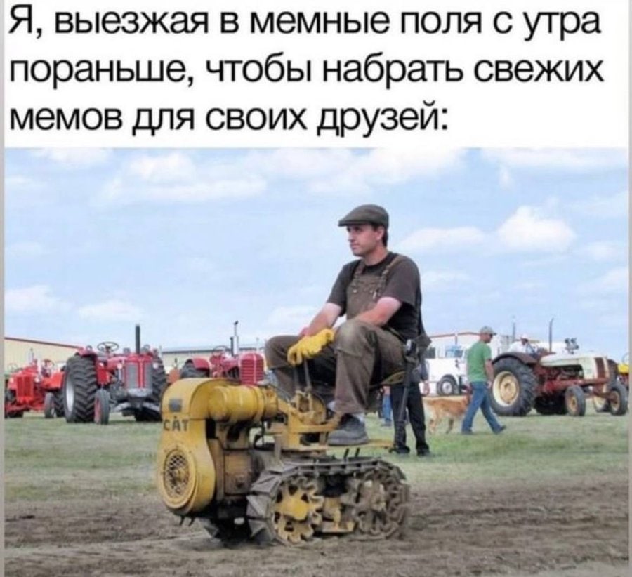 Я, выезжая в мемные поля с утра пораньше, чтобы набрать свежих мемов для своих друзей