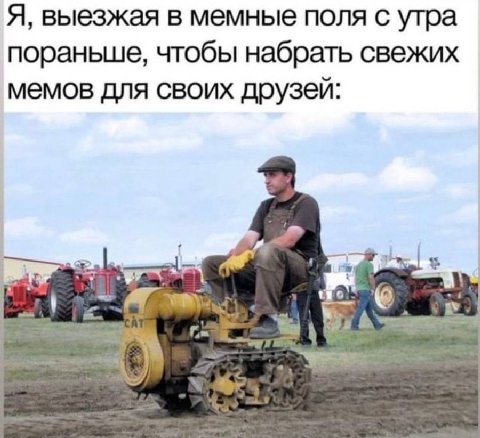 Я, выезжая в мемные поля с утра пораньше, чтобы набрать свежих мемов для своих друзей
