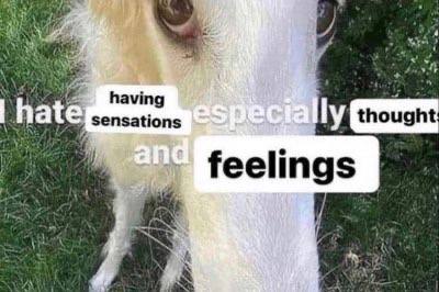 having ensations thought: feelings