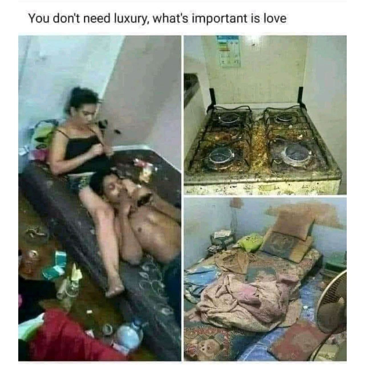 You don't need luxury, what's important is love “3