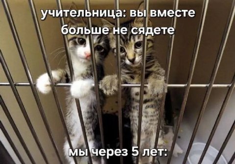 учительница: вы вместе больше не сядете 4 a ычерез 5 лет: