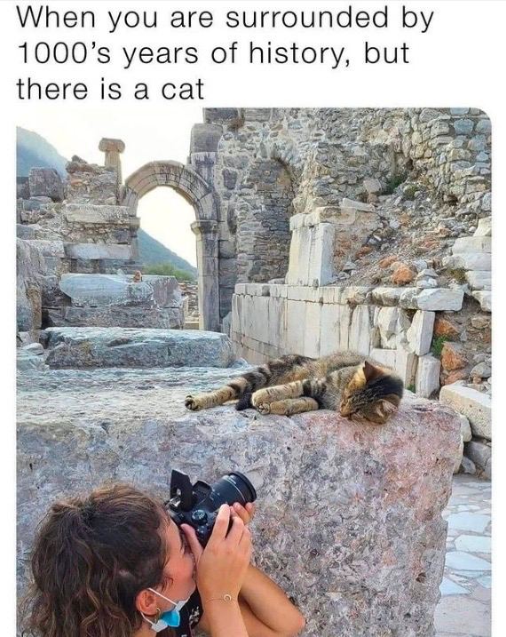 When you are surrounded years of history, but there is a cat a We we