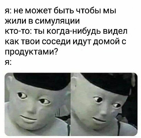 я: не может быть чтобы мы жили в симуляции кто-то: ты когда-нибудь видел как твои соседи идут домой с продуктами? я: 2 “2