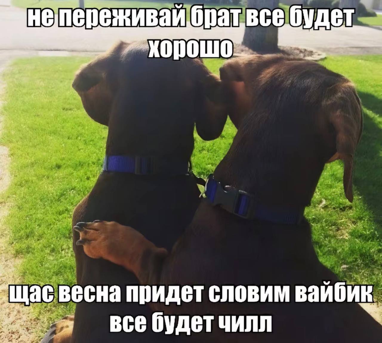 непереживаи бра твсе будет хорошо: щас весна придет вайбик. все будет чилл