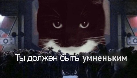 Ты должен быть умненьким