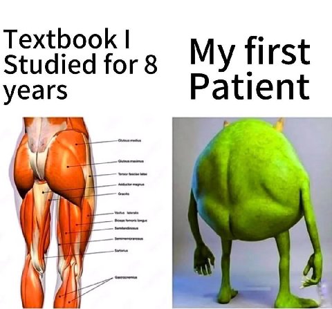 Textbook Studied for 8 My first years ten 4]