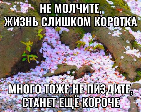 ЖИЗНЬ СЛИШКОМ КОРОТКА`