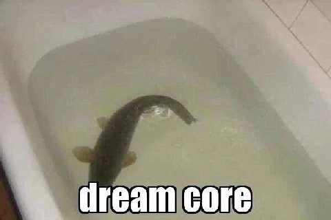 core