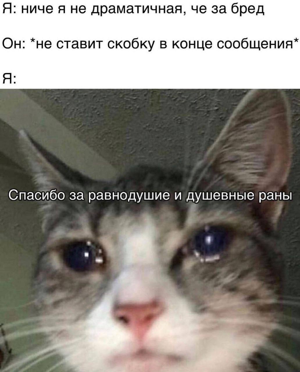 Я: ниче я не драматичная, че за бред Он: *не ставит скобку в конце сообщения* Я: Спасибо за равнодушие и душевные раны