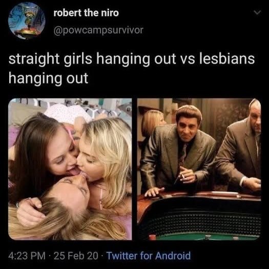 robert the niro @powcampsurvivor straight girls hanging out lesbians hanging out 4:23 25 Feb 20 Twitter for Android