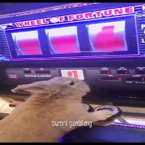 . -bumni ganblimg и