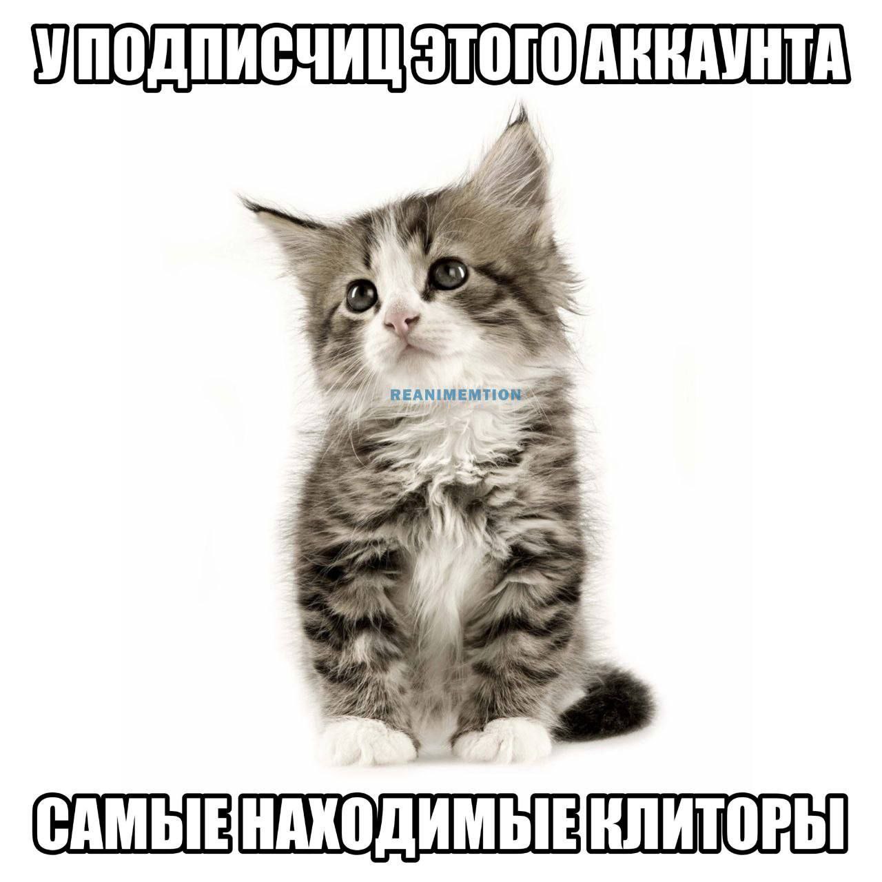is TRS