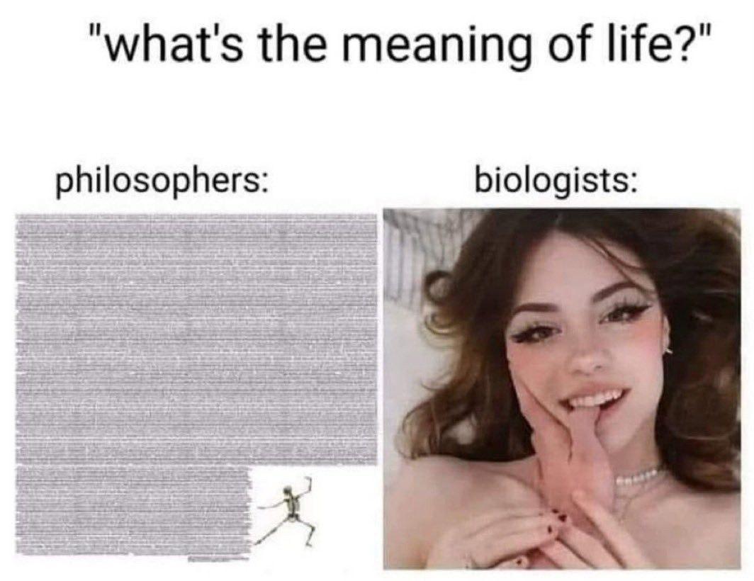 “whats the meaning of life?’ philosophers: biologists: