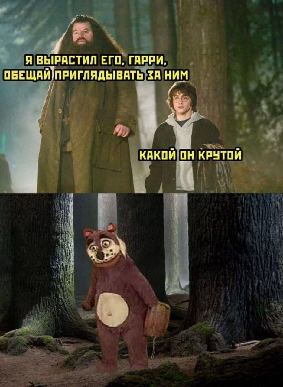 Я ВЫРАСТИЛ ЕГО, ГАРРИ, ОБЕЩАЙПРИГЛЯДЫВАТЬ 3A НИМ КАКОЙ ОН КРУТОЙ 4