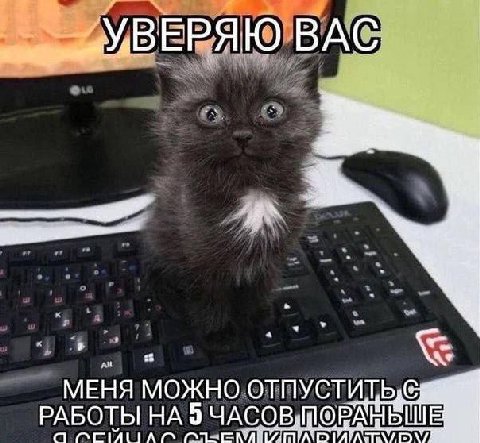 BAC МЕНЯ МОЖНО ОТПУСТИТЬЕ РАБОТЫ НА 9 ЧАСОВ